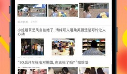 最新爆料娱乐小灶视频完整版,最新爆料视频完整版深度解析